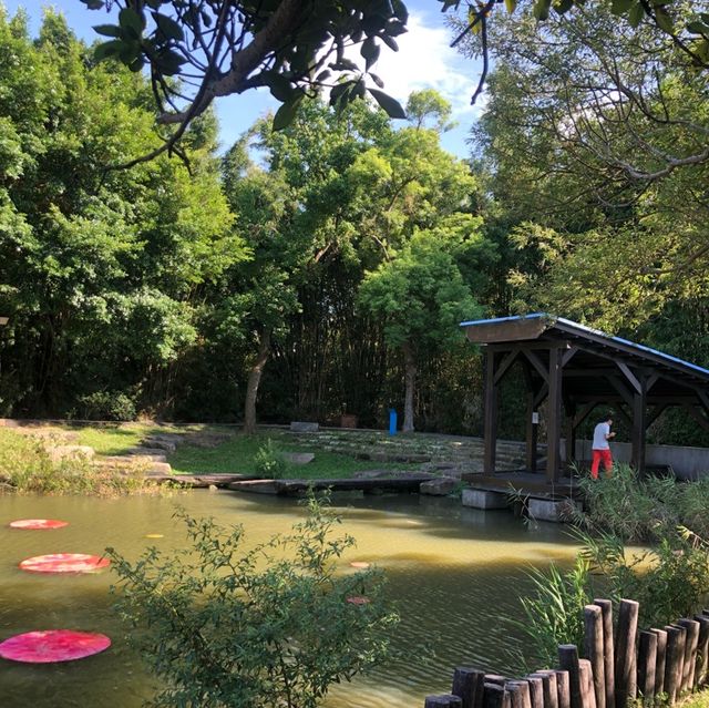 龍潭大池濕地植物區