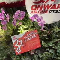 Signature Singaporean Souvenirs @ Jewel