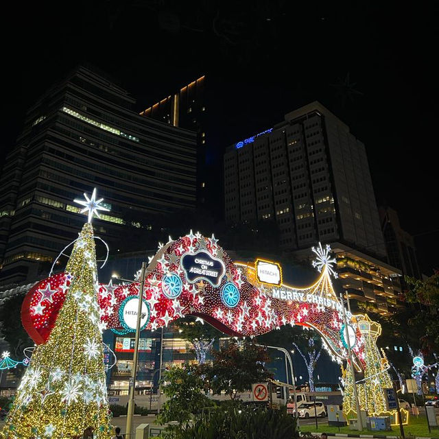 Ion Orchard festival lights
