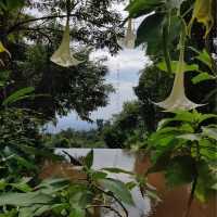 Wat Pha Lat Hike (Monk's trail)
