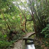 祕境溪流古道 ~ 狗慇勤古道