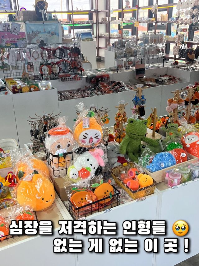 제주여행 기념품은 여기서, 샵제주 애월점 
