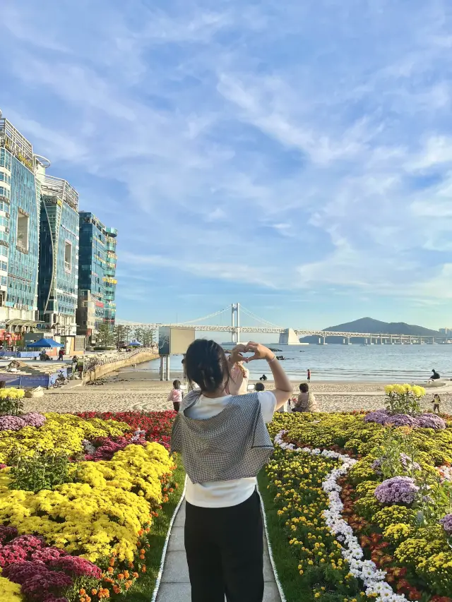 부산 광안리 꽃축제 