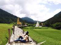 สักการะพระเจ้าต๋นหลวงกลางทุ่งนา @วัดนาคูหา จ.แพร่