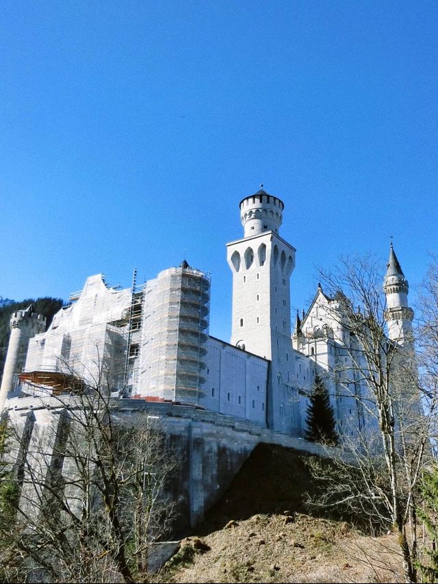 【ノイシュバンシュタイン城】まるでおとぎ話の世界？ドイツにあるお城🏰🪞☁️