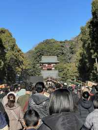 【神奈川県/鶴岡八幡宮】元旦に1度は訪れたい