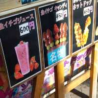 コリアンタウンを、食べ歩きしながらブラブラ散歩