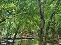 อุทยานแห่งชาติน้ำตกสี่ขีด