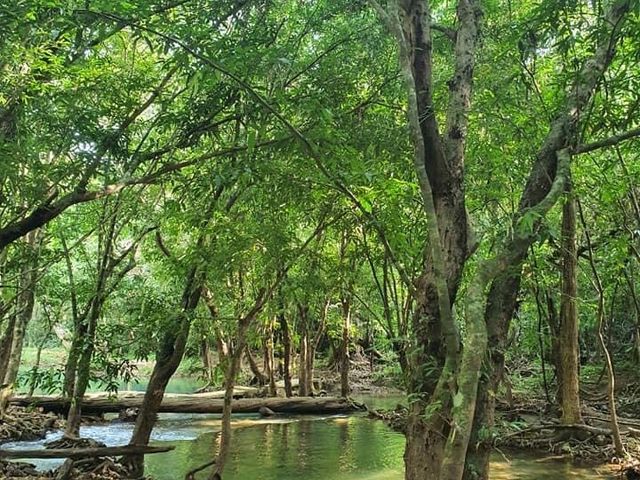 อุทยานแห่งชาติน้ำตกสี่ขีด