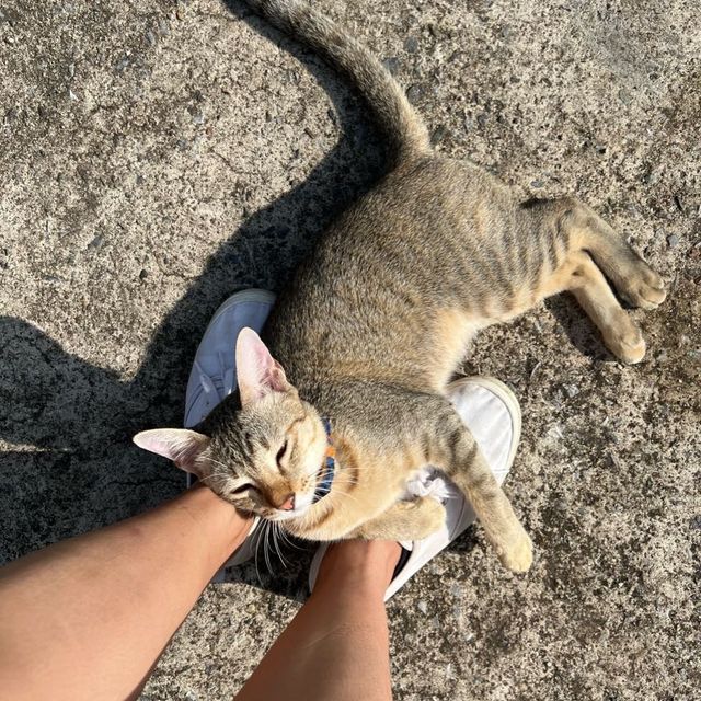 สุดแผ่นดินตะวันออก แหลมงอบ จ.ตราด