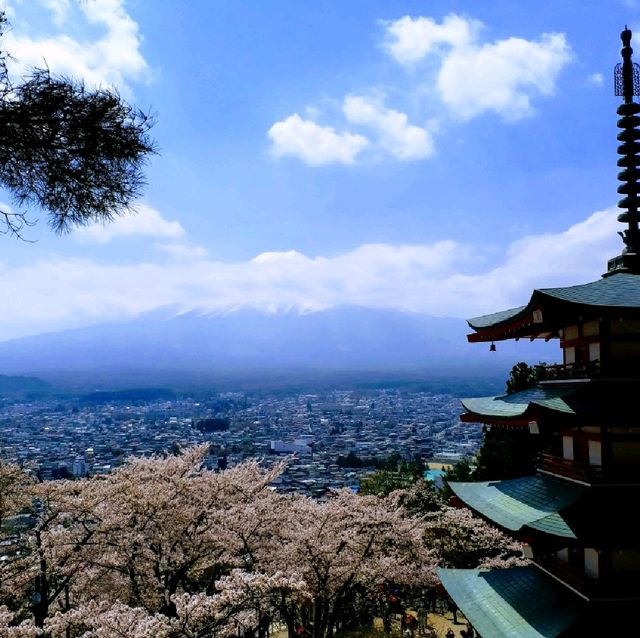 朝聖富士山第一景 新倉山淺間公園(part2)