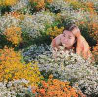อิตาลีไม่ไกล....ไปแค่ปราจีนบุรี