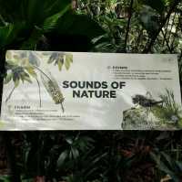 Penang Rainforest Discovery Centre