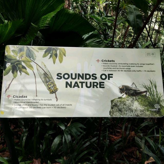 Penang Rainforest Discovery Centre