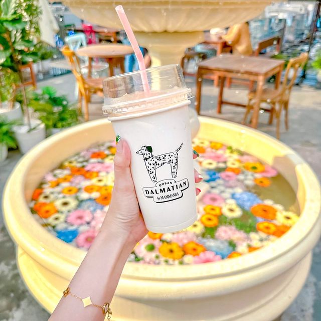 คาเฟ่เจ้าดังจากเกาหลี! สดใส น่ารัก ฟรุ้งฟริ้งสุด