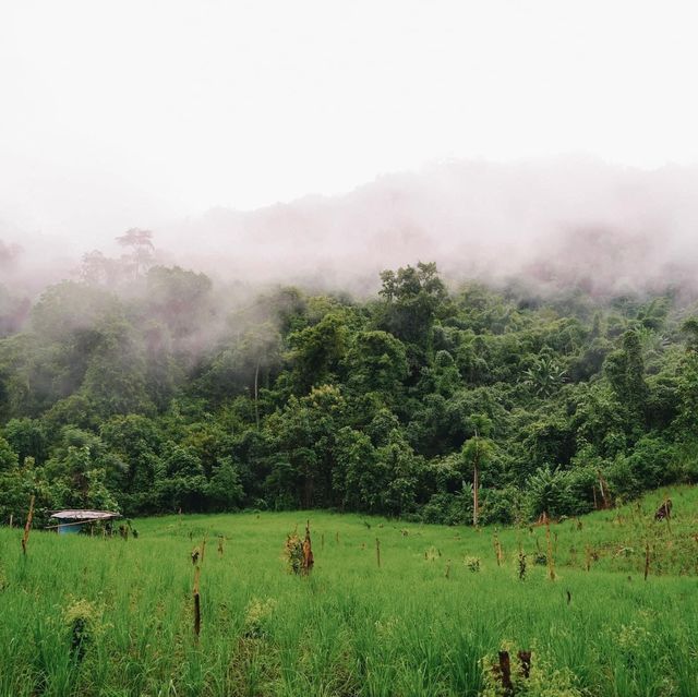 จุดชมวิว ผาแดง หนองเขียว หลวงพระบาง