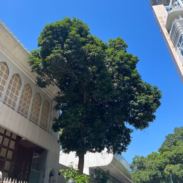 九龍公園 尖沙咀難得綠化空間