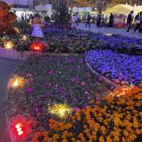 返嚟啦，返嚟啦，2023香港🌸🌹🌻花卉展覽