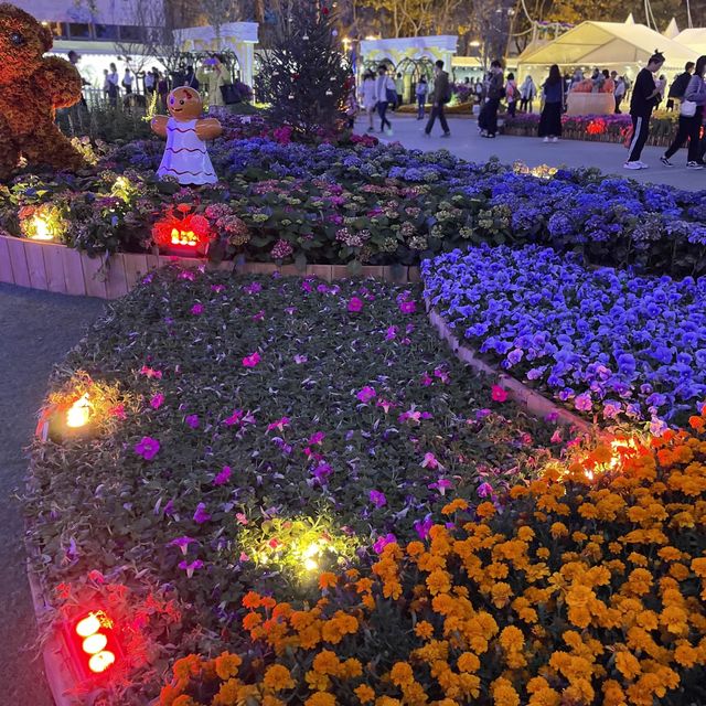 返嚟啦，返嚟啦，2023香港🌸🌹🌻花卉展覽