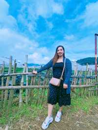 Starwberry Farm