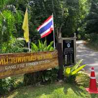 น้ำตกบางแป
