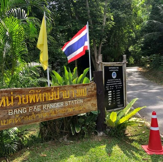 น้ำตกบางแป