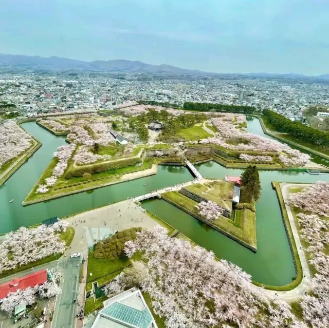 夢幻五棱郭公園