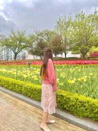 울산대공원 튤립 꽃놀이 🌷