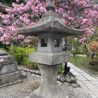 長野市的名勝善光寺及城山公園