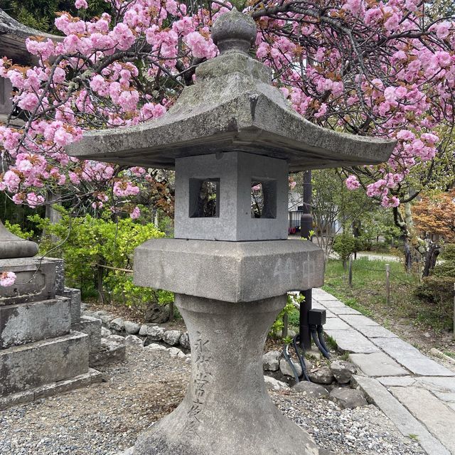 長野市的名勝善光寺及城山公園
