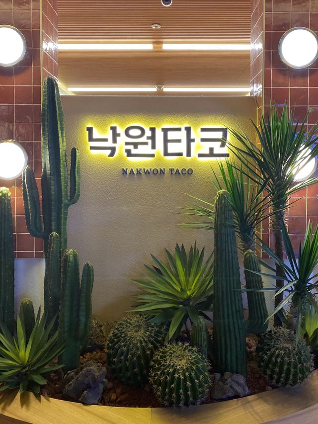 낙원타코🌮멕시코 음식이 맛있는 스타필드 고양 맛집 추천