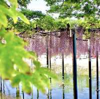 天王川公園