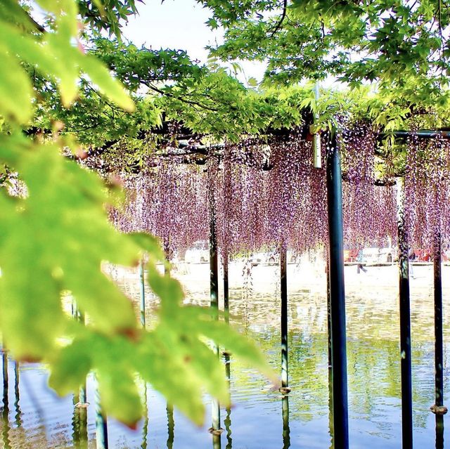 天王川公園