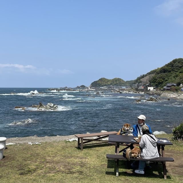 คาเฟ่ ไม่ลับ ที่ฟุกุอิ ทะเลญี่ปุ่น cafe mare 