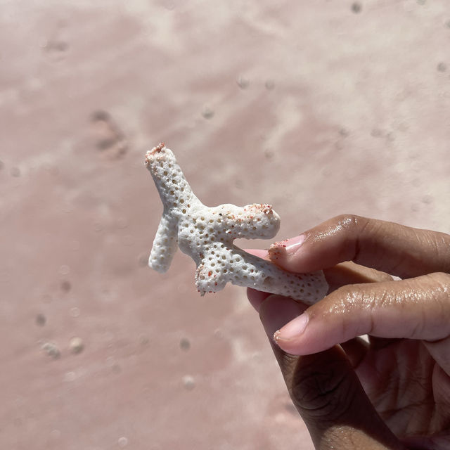 Pink Beach Komodo