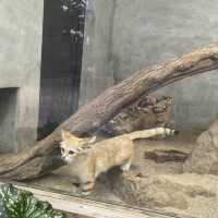 関西でおすすめの体験型動物園🐇🐅🐈🐕🦆