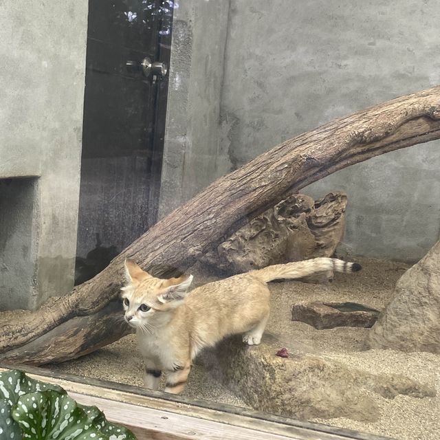 関西でおすすめの体験型動物園🐇🐅🐈🐕🦆