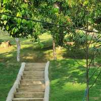 หลงสวน คาเฟ่ท์  ยกภูเขามาไว้ตรงนี้!!