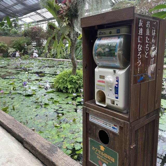 【動物全接觸】神戶動物王國🦚