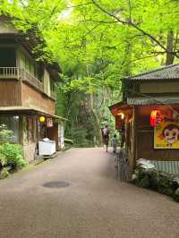 【大阪】滝道を散策をしよう