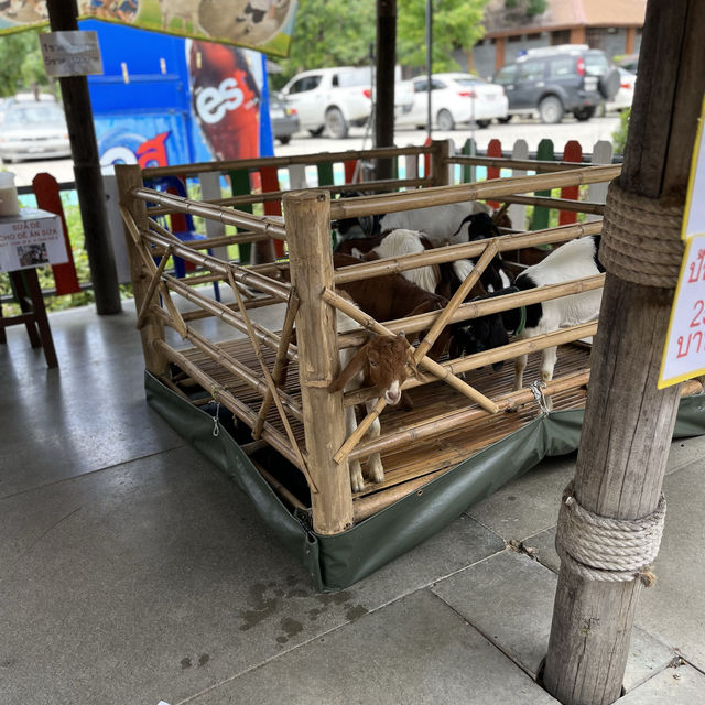 Pattaya Floating Market