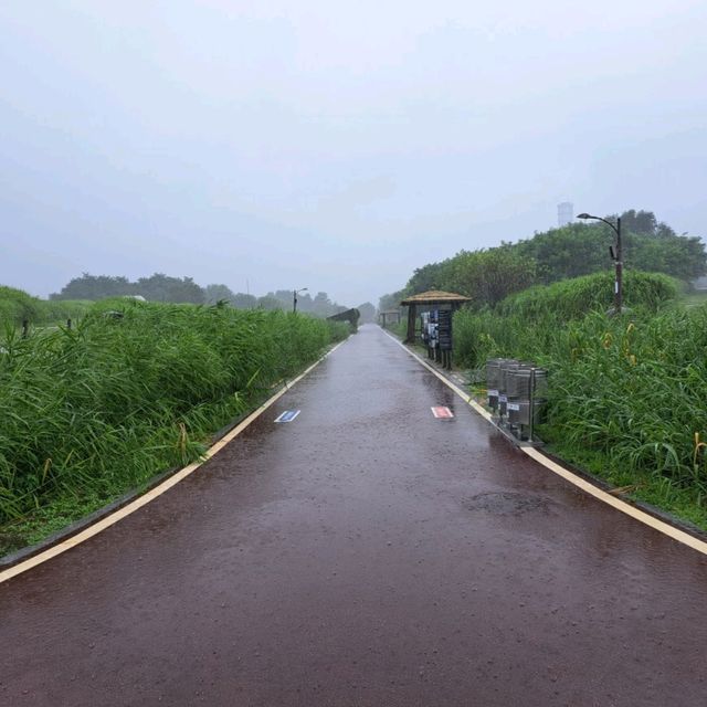 韓國景點📸天空公園🥰親親大自然⭐打卡熱點😍
