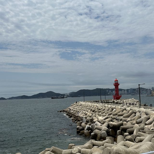 韓国:釜山 ˗ˏˋ オクチョンフェジプ 옥천횟집 ˎˊ˗