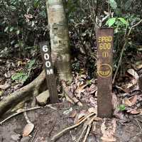 Bohey dulang trail incredible…
