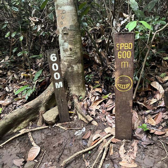 Bohey dulang trail incredible…
