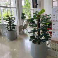 D Varee Jomtient Beach, Pattaya