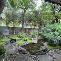💚🍵 มีใจให้มัทฉะ Magokoro Teahouse เชียงใหม่ 🪴🌳