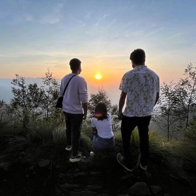 Sunrise at world's highest tea plantation 🌅