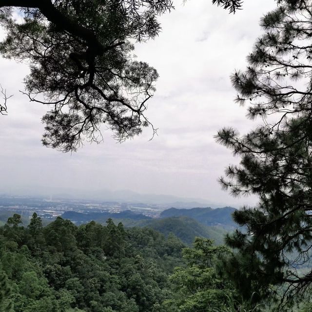 自然之寶～圭峰山國家森林公園🌲🏞️