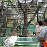 Safari world มากี่ครั้งก็ไม่เคยเบื่อ